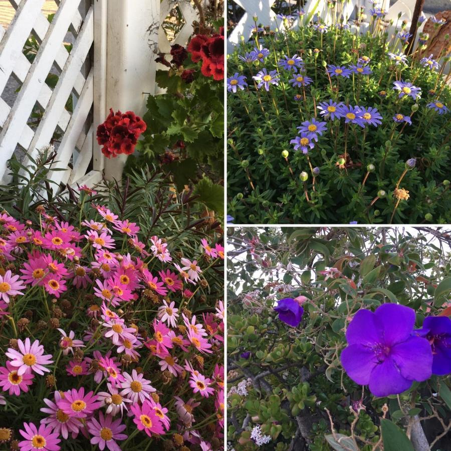 Marina Street Inn Morro Bay Luaran gambar
